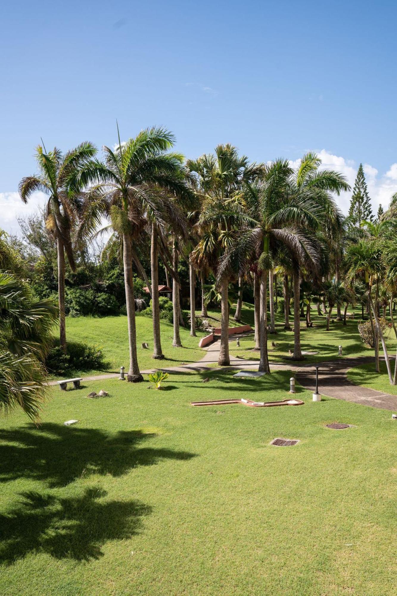 Appartement Le Ti' Paradis Tropical, Anse Des Rochers Vue Studio25m2 Saint-Francois (Grande-Terre)