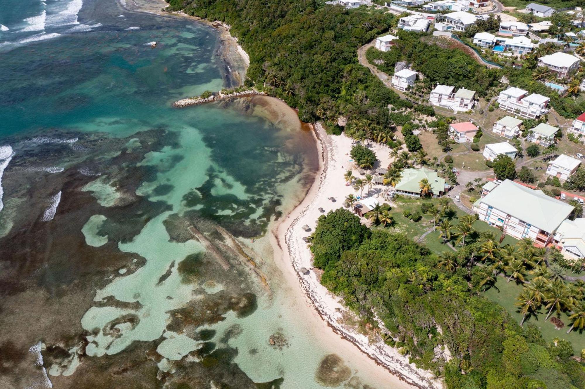 Le Ti' Paradis Tropical, Anse Des Rochers Vue Studio25m2 Appartement Saint-Francois (Grande-Terre)
